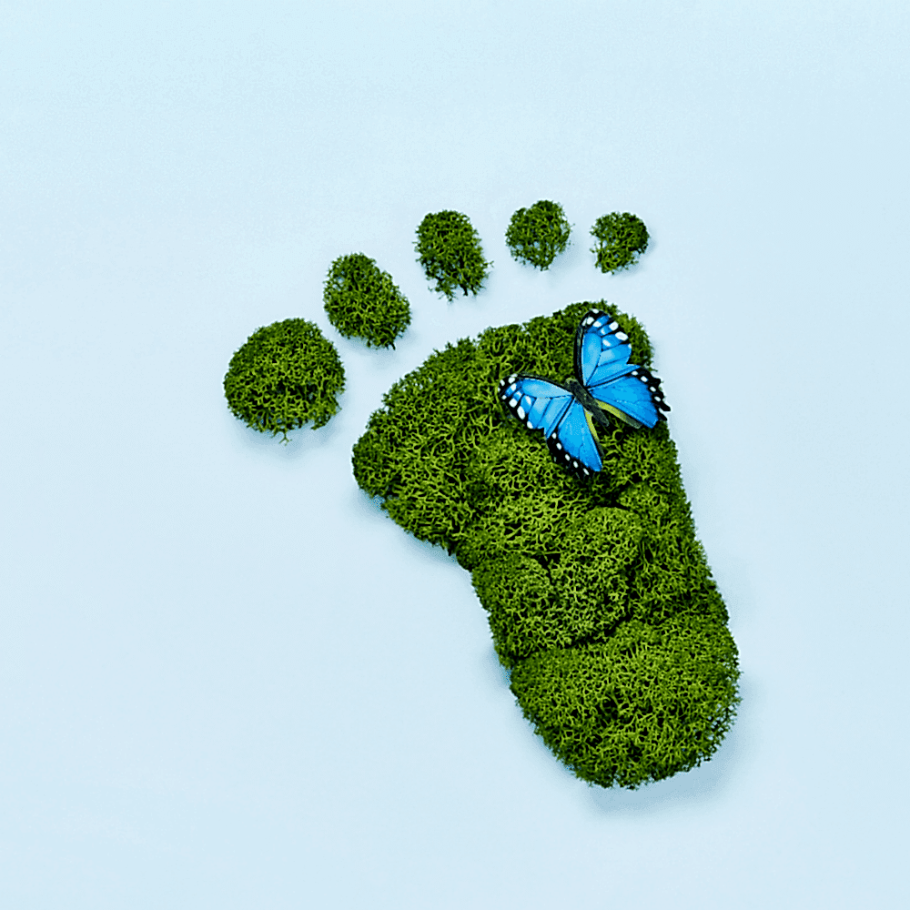 İnşaatta Karbon Ayak İzini Azaltmanın Yolları