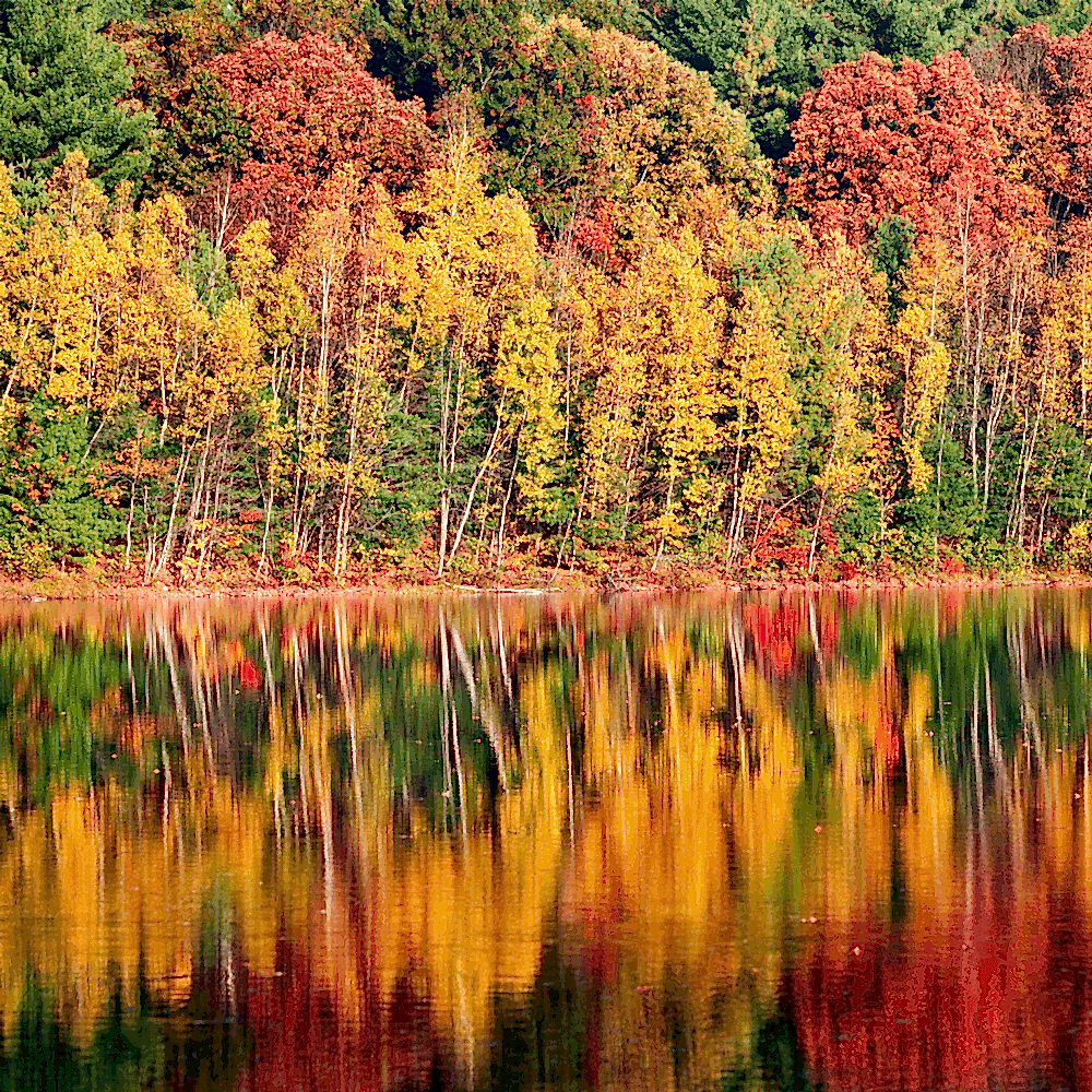 Sürdürülebilir Kentsel Dönüşüm: Yeşil Alanların Önemi